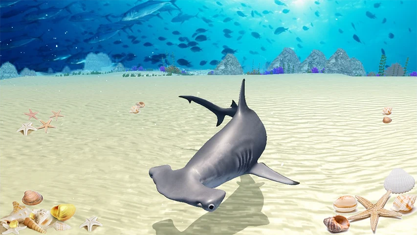 The Hammerhead Shark screenshot