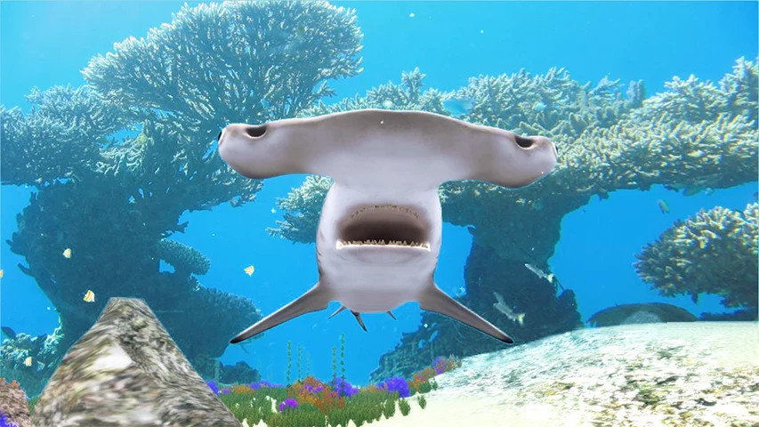 The Hammerhead Shark screenshot