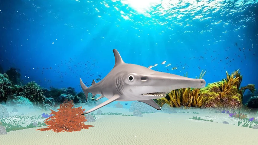The Hammerhead Shark screenshot