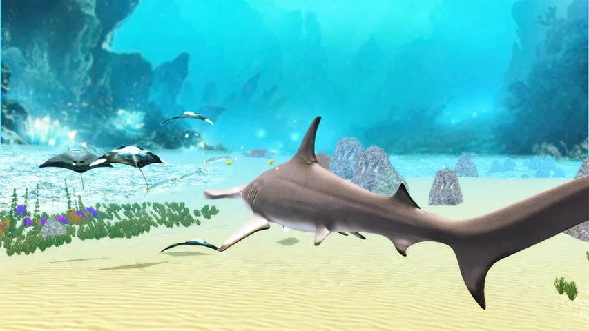The Hammerhead Shark screenshot